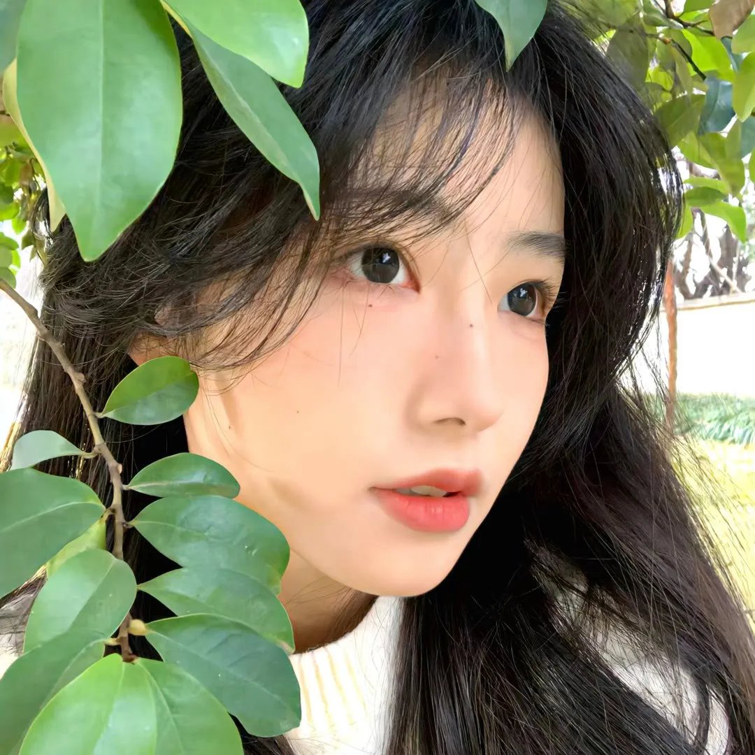 花街神女